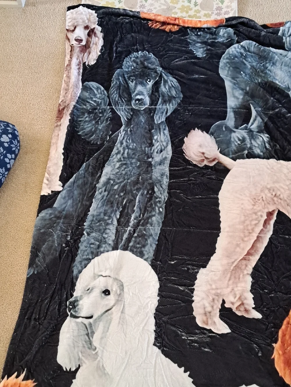 Plush Poodle Print Pet Blanket - Black, White, Orange 60 X 77